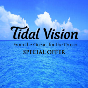 Tidal Vision Special Deal